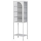 Metal Glass Door 5-Tier Cabinet