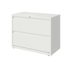 2 Drawer Metal Lateral File Cabinet for Home/Office with Premium Matte Texture Finish