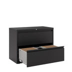 2 Drawer Metal Lateral File Cabinet for Home/Office with Premium Matte Texture Finish