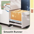 2 Drawer File Cabinet - 15.6D x 16.2W x 26.4H