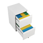 2 Drawer File Cabinet w/Lock,Metal Under Desk Rolling Filing Cabinet