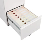 2 Drawer File Cabinet w/Lock,Metal Under Desk Rolling Filing Cabinet